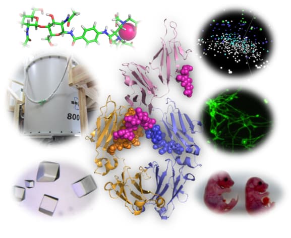 生命分子構造学分野 図