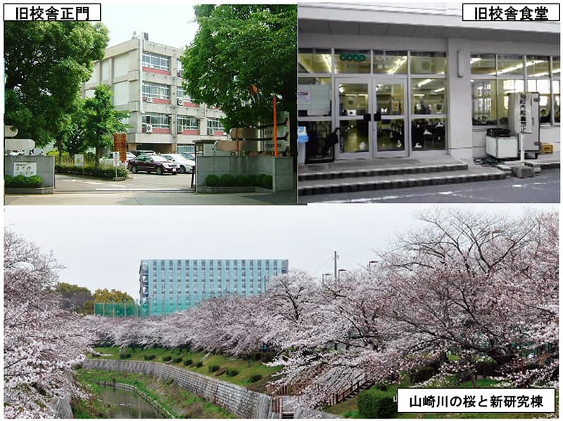 旧校舎正門、旧校舎食堂、山崎川の桜と新研究棟