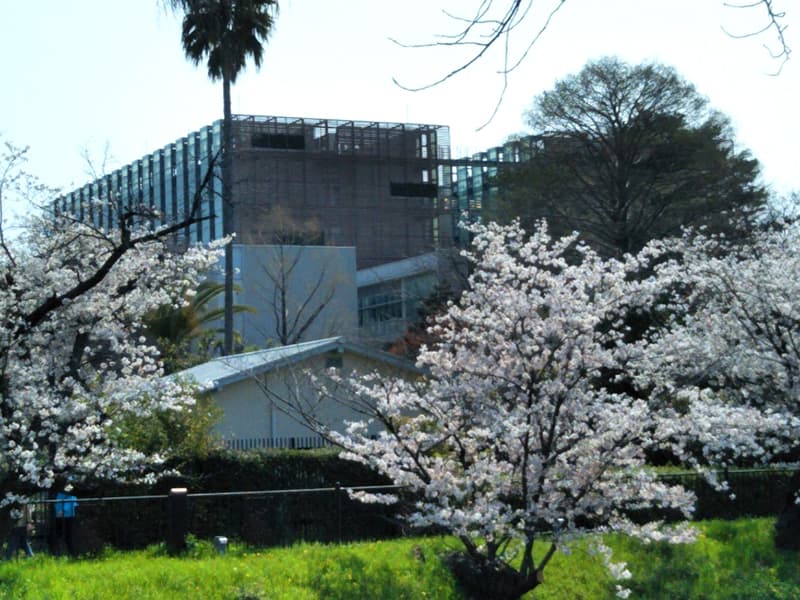 名市大薬学部