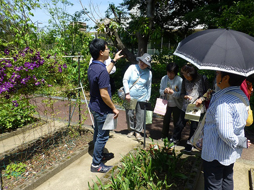 薬草園市民公開の様子（薬学）