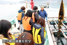 岩手県の漁業を見学