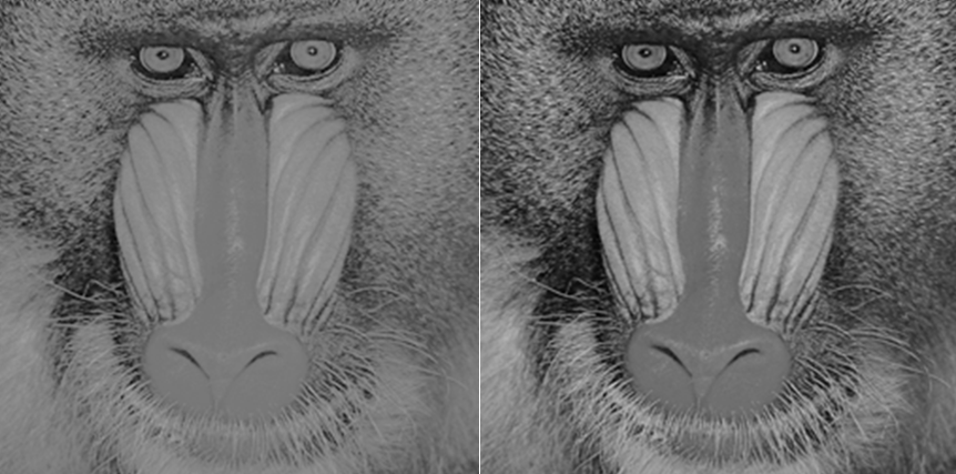Figure 1: Differences in vision according to contrast sensitivity (observer's view).