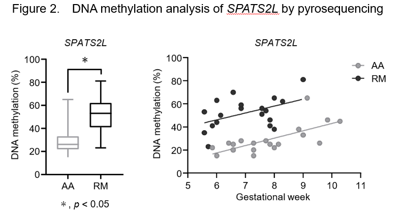 figure2