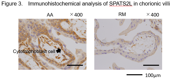 figure3