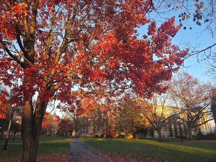 バックネルの秋は、鮮やかな紅葉に彩られ、とても美しい季節でした。