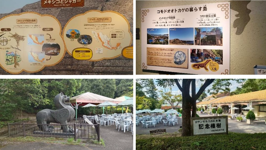 園内にいる6種類の動物に関する紹介文を言語ごとのチームで翻訳