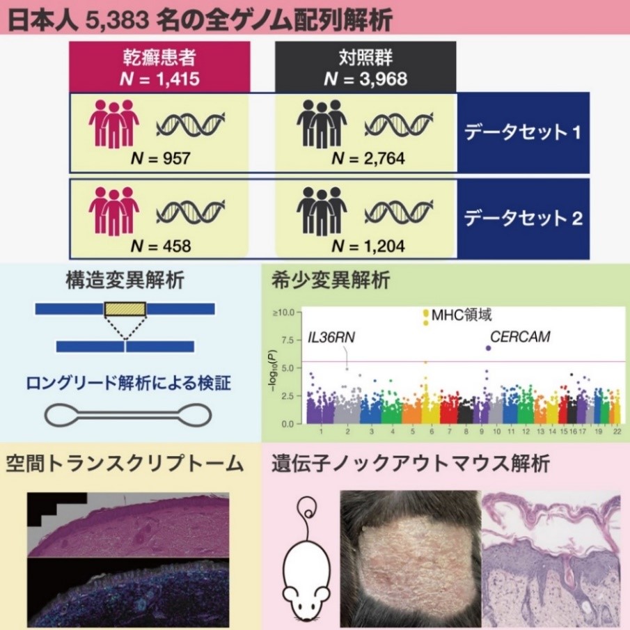hyousi.jpg