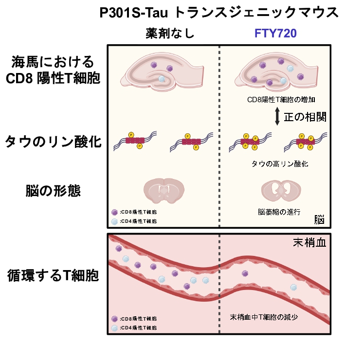 samuneyou_page-0001.jpg
