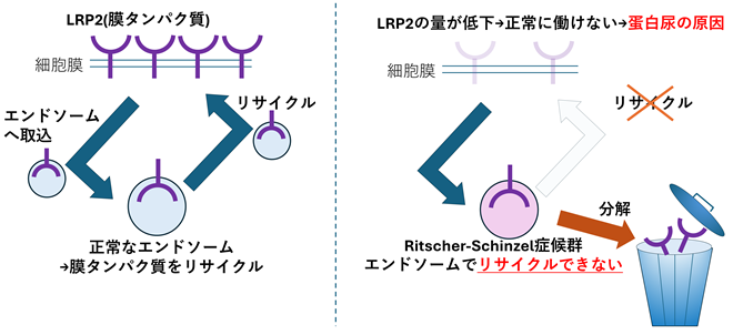 図2