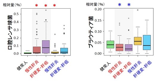 C型肝炎ウイルスの排除が腸内環境の劇的な回復をもたらす～ブラウティア菌の増加が肝機能回復のカギに～