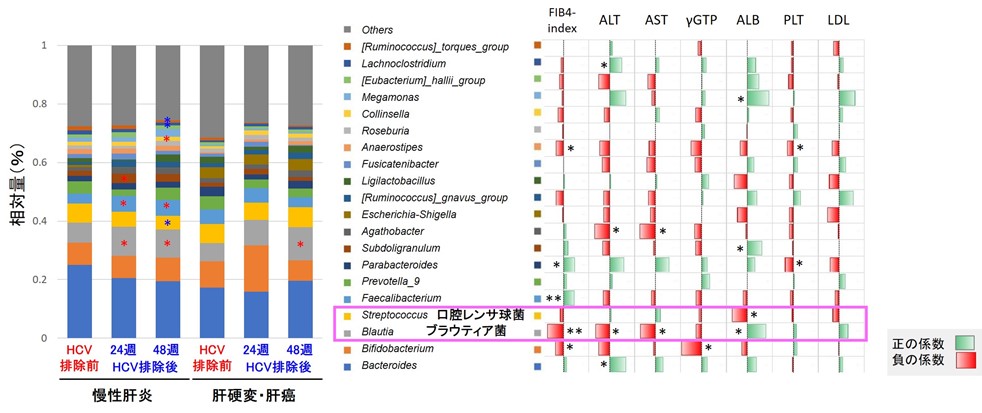 図3 C型肝炎ウイルス（HCV）排除後、腸内フローラはどのように回復するのか？