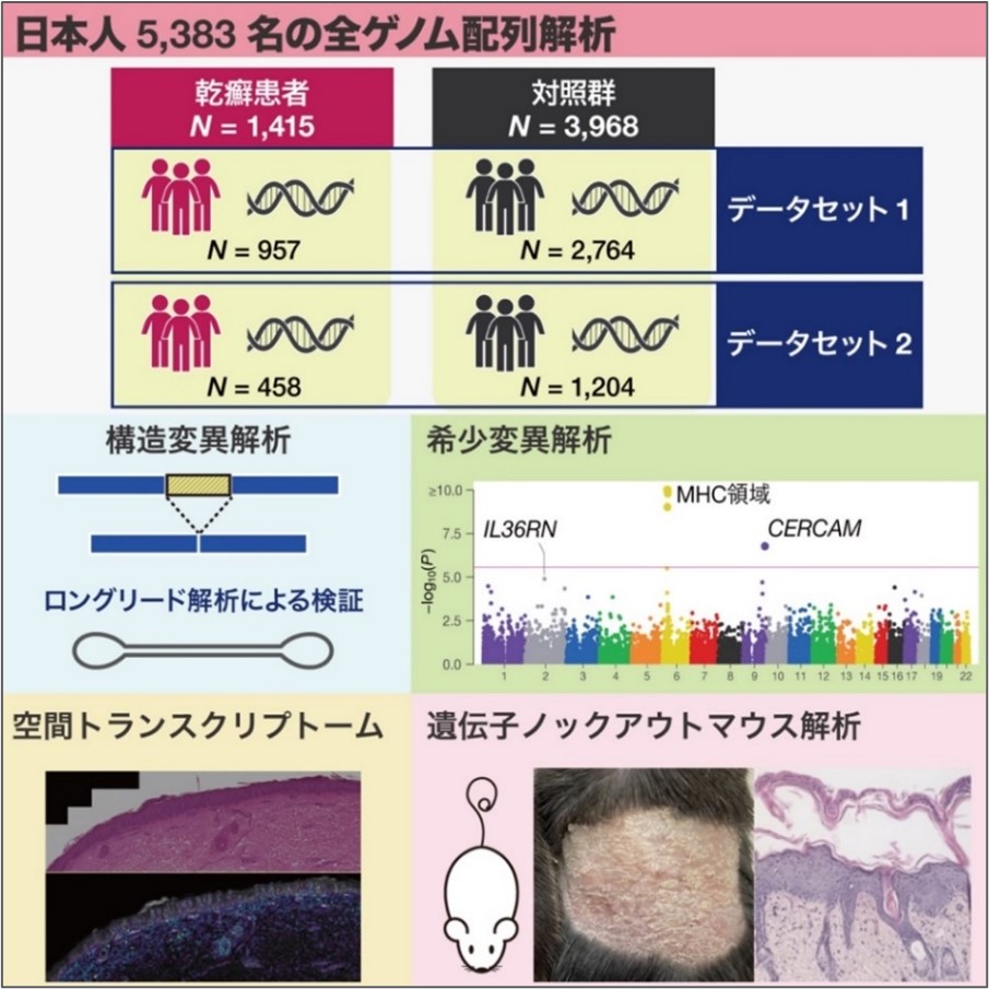 発表のポイントまとめ図