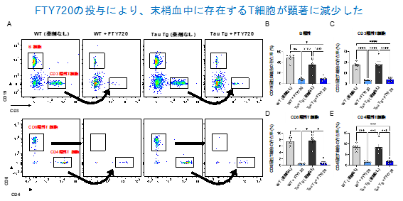 図1