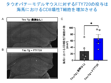 図2