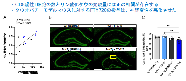 図3