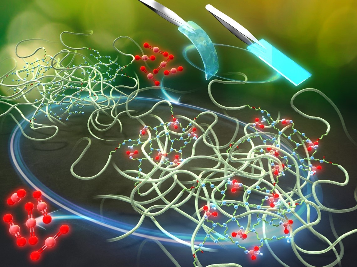 研究のイラスト