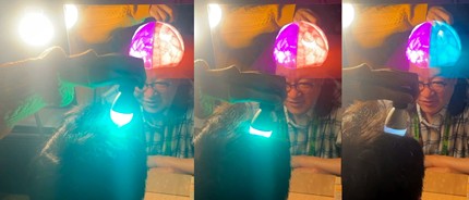 SIGGRAPH Asia 2025における実際の体験の様子