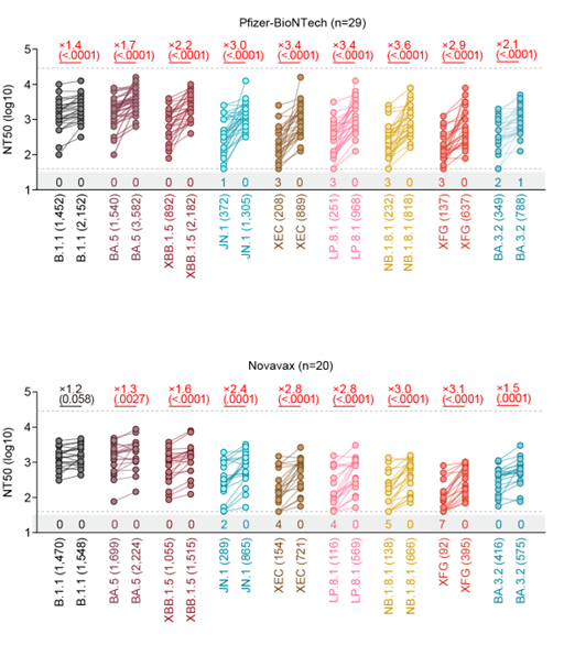 図1.オミクロンLP.8.1株対応一価ワクチンによる中和抗体誘導効果