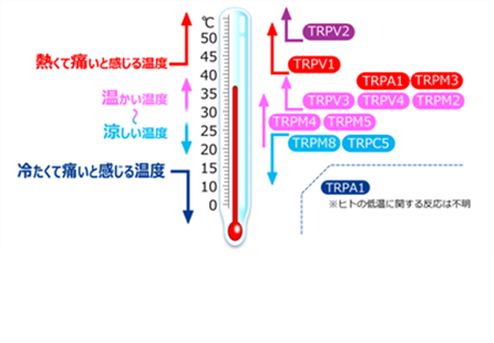 図1