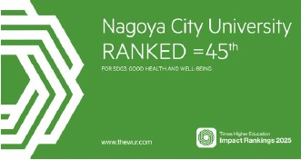 インパクトランキング画像
