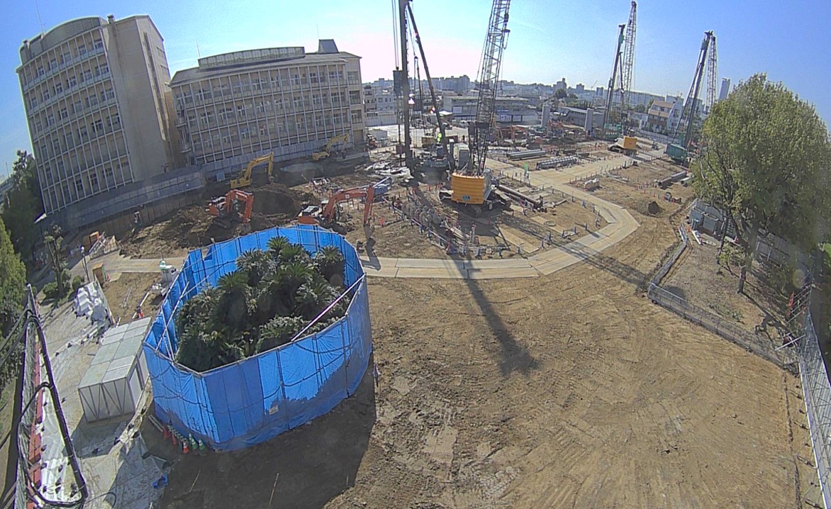 令和7年11月撮影