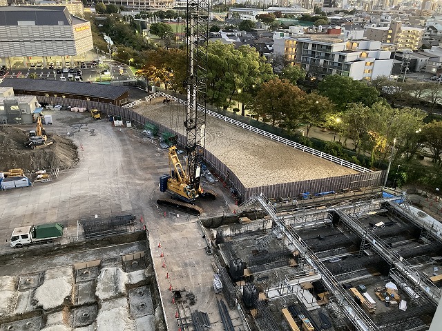 令和7年11月撮影