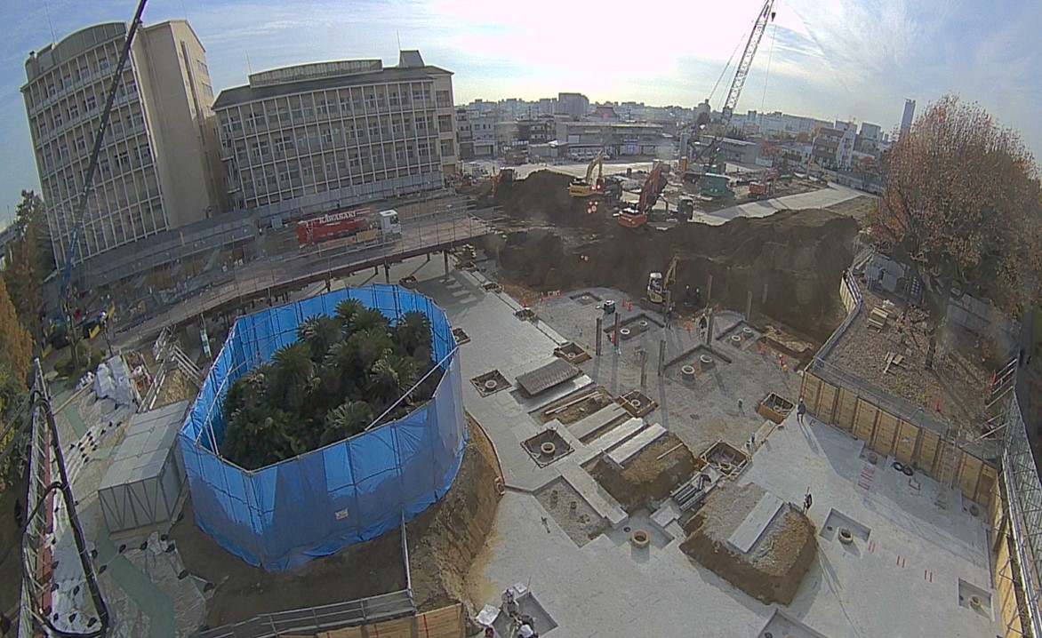 令和7年12月撮影