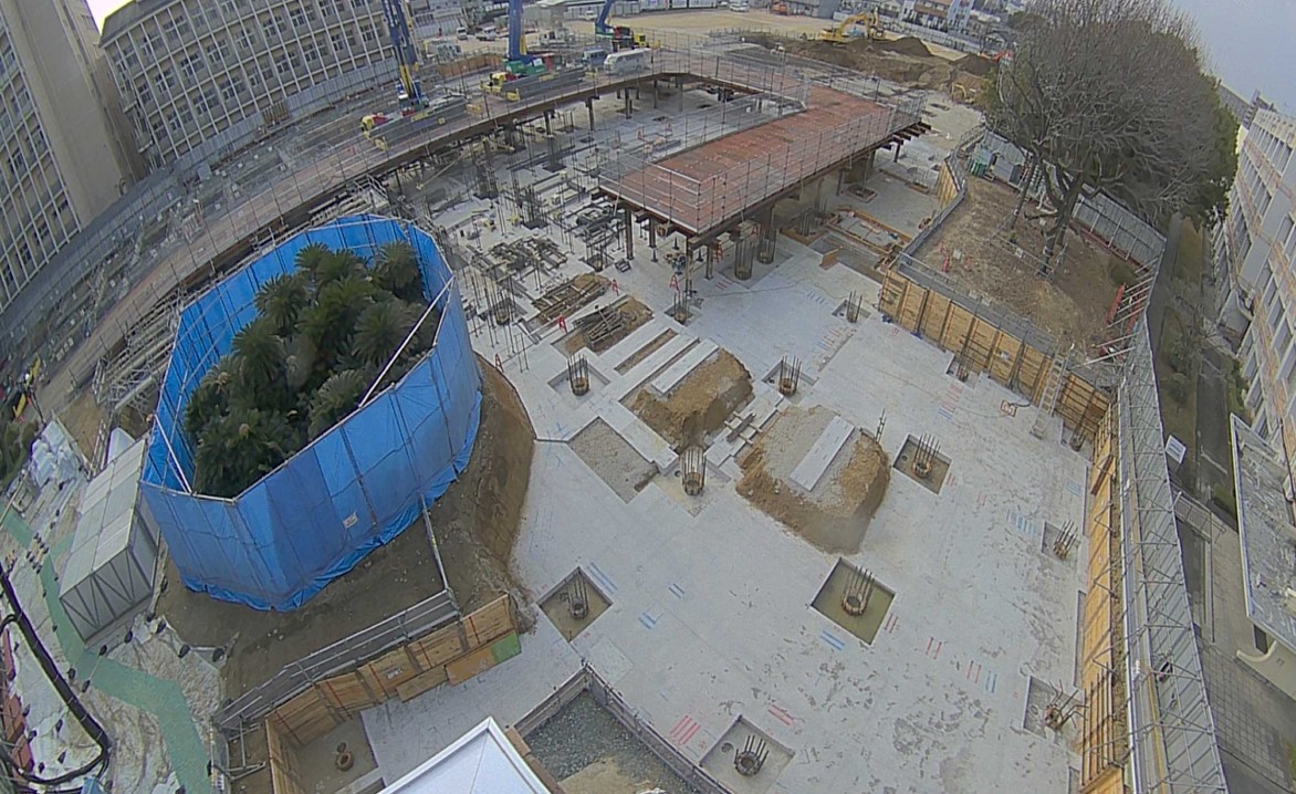 令和8年1月撮影