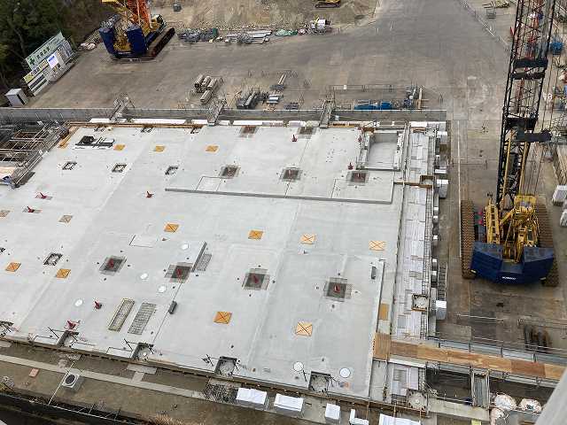 令和8年2月撮影