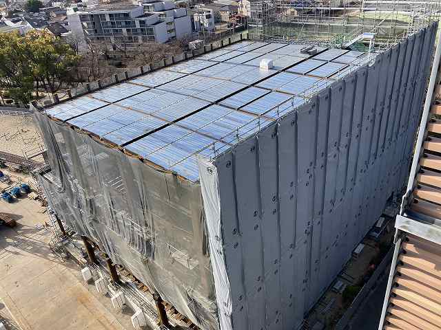 令和8年2月撮影