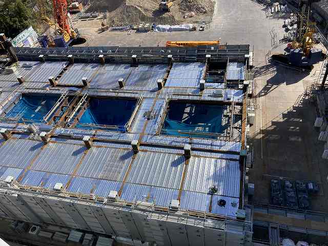 令和8年3月撮影