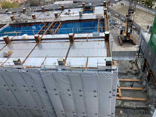 令和8年4月撮影