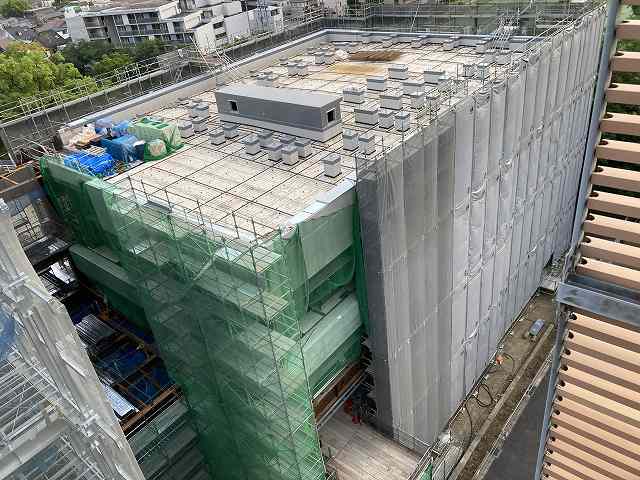令和8年6月撮影