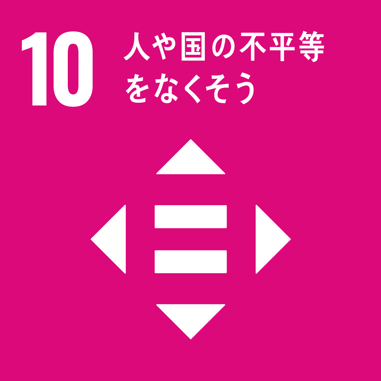 SDG10