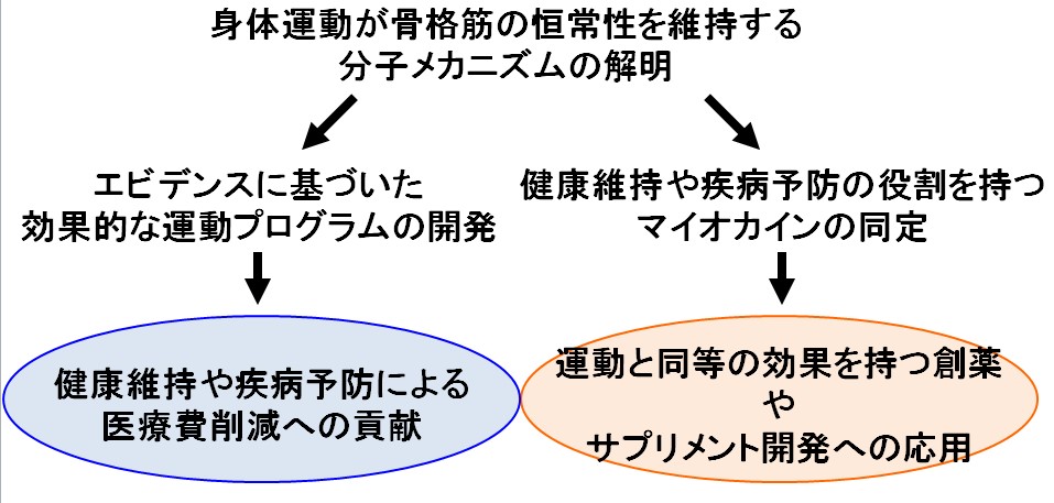 運動分子生物学による社会貢献の可能性