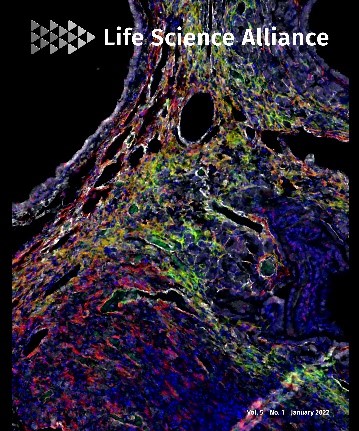 2022年発表学術誌、表紙となる @LSAjournal　2022年1月5日