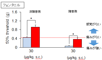 画像３