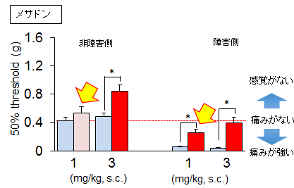 画像４