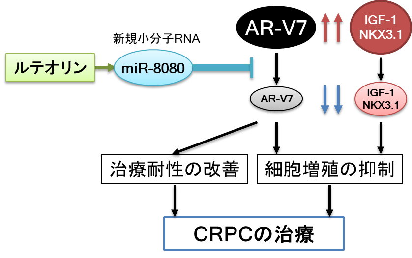 画像２