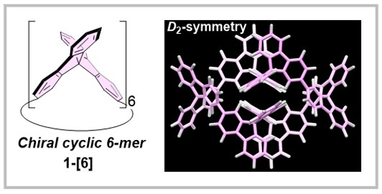 新規大環状化合物1-[6]