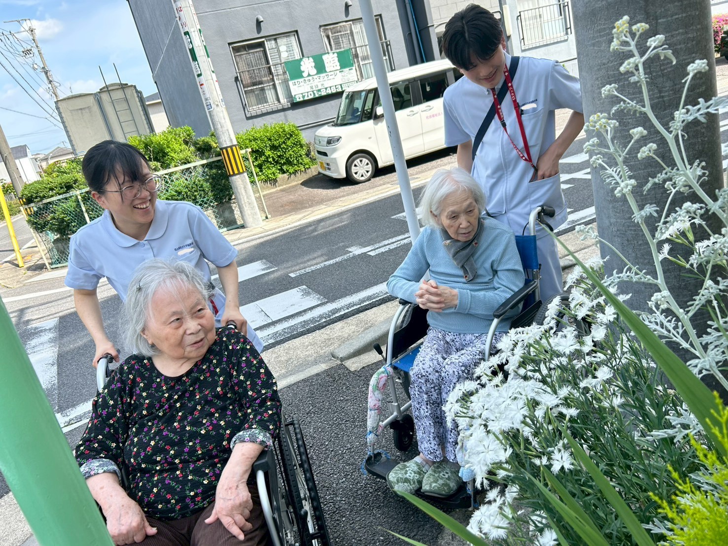 お散歩にいい季節ですね。お花もきれいです。