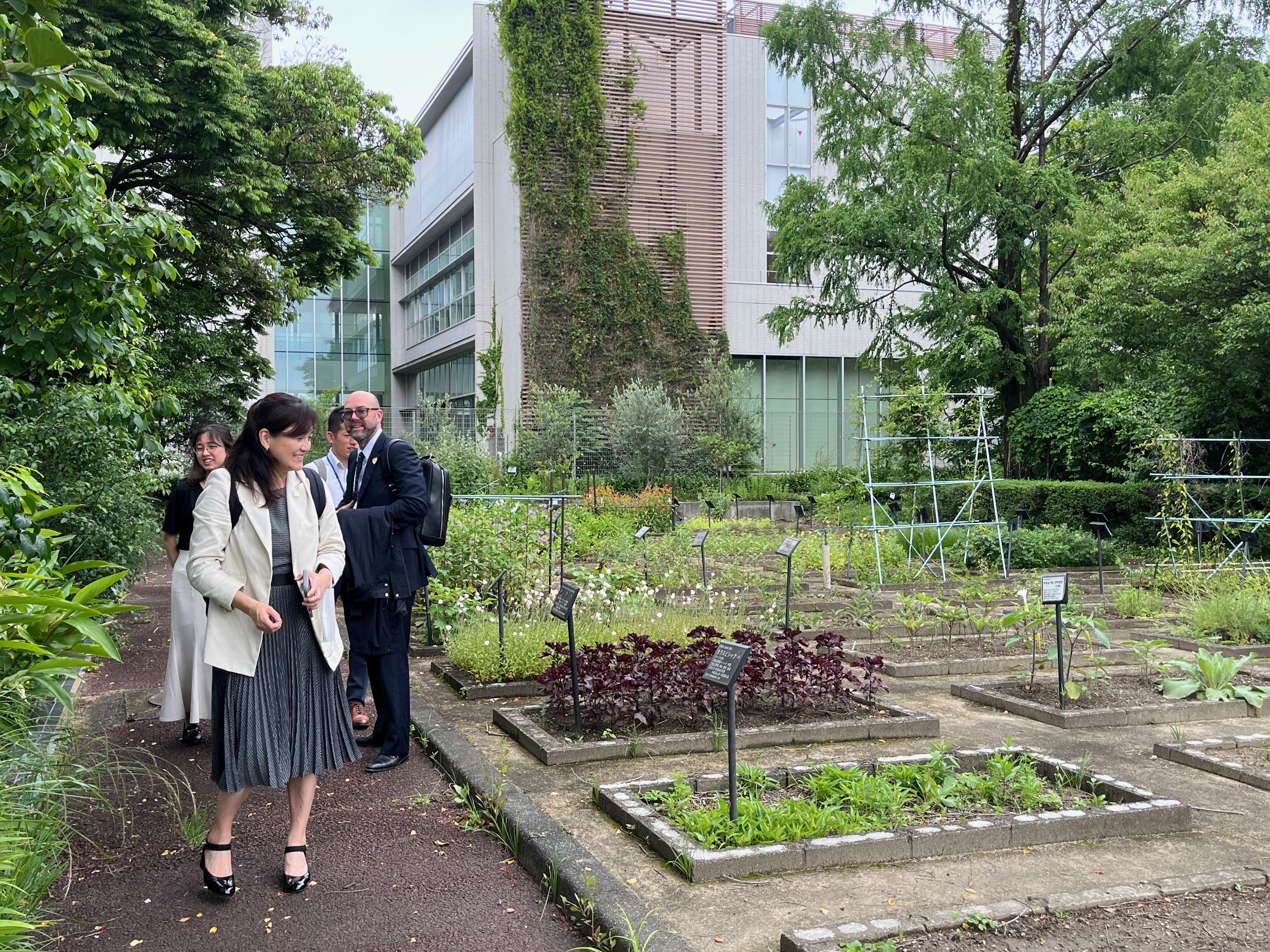 Medicinal plant garden