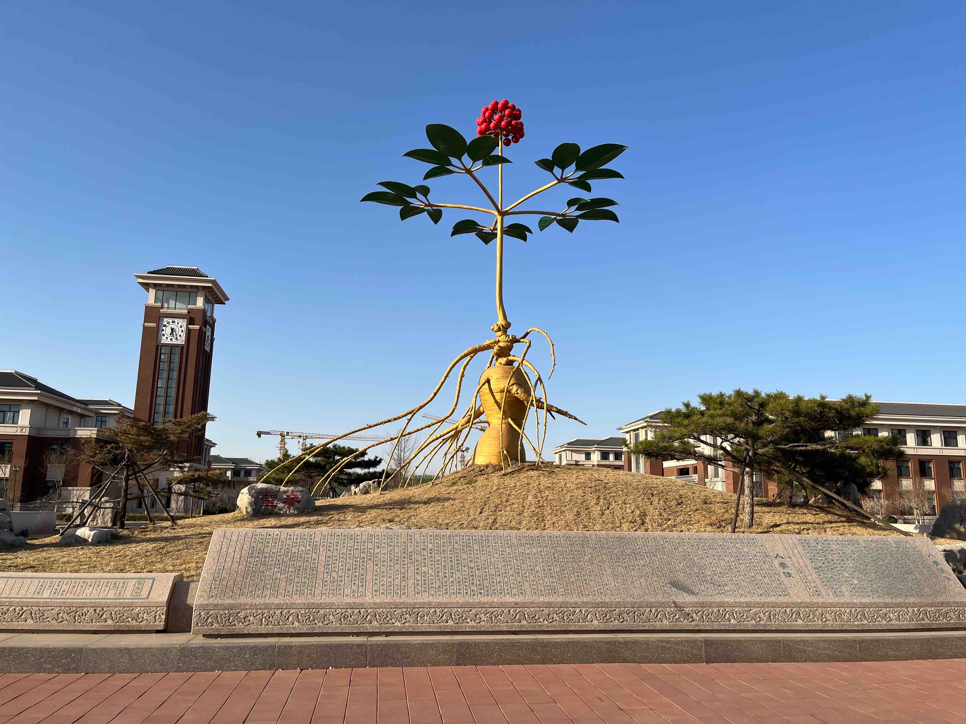 Tianjing University of traditional Chinese medicine