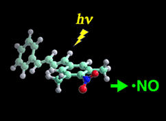 Novel photoinduced nitric oxide donors