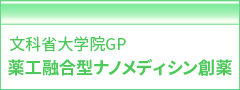 薬工融合型ナノメディシン創薬