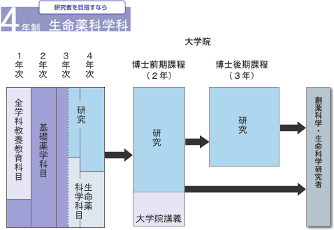 6年制と4年制について 概要 公立大学法人 名古屋市立大学 大学院薬学研究科 薬学部