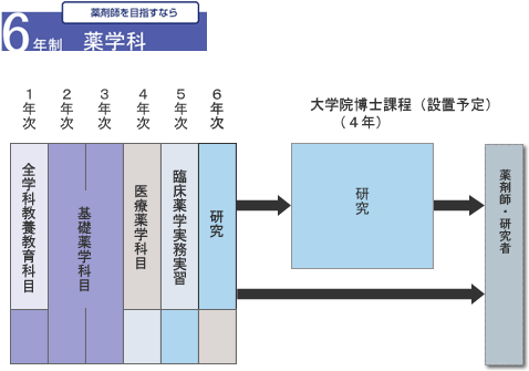 6年制と4年制について 概要 公立大学法人 名古屋市立大学 大学院薬学研究科 薬学部