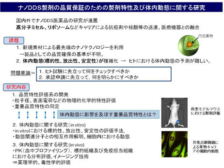 ナノDDS製剤の品質保証のための製剤特性及び体内動態に関する研究