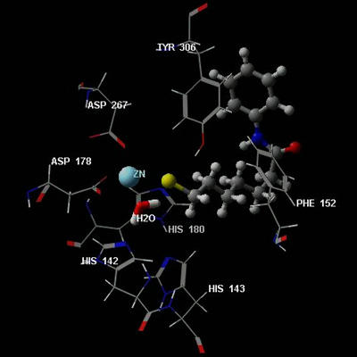 図2 ヒストン脱メチル化酵素の1種と私たちの開発した化合物のドッキングモデル